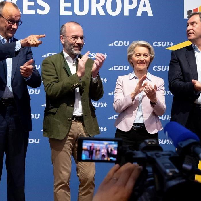 Here's what happened in some key countries in the EU Parliament elections
